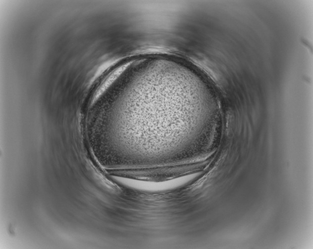 X0000096481404200802071909