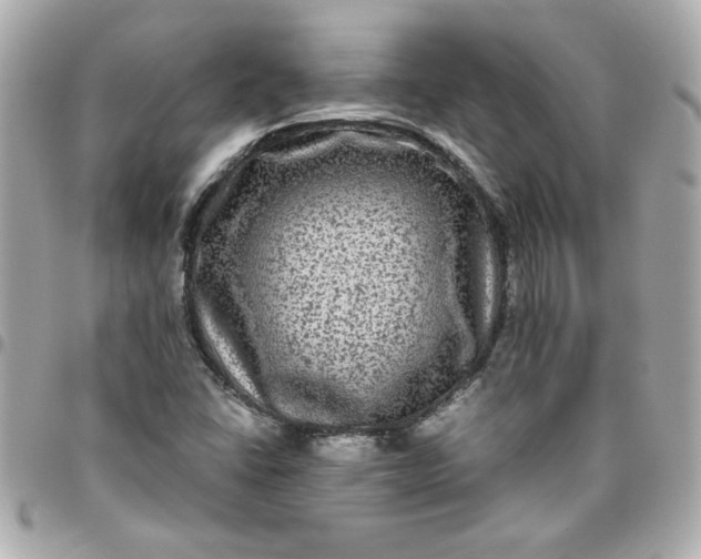 X0000096481406200802071909