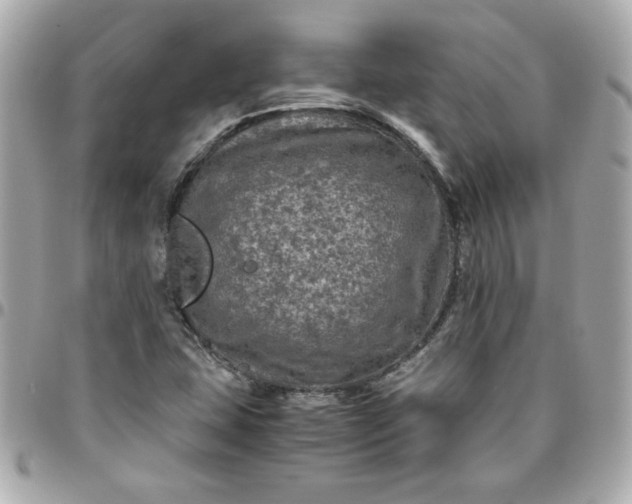 X0000096481407200802071909