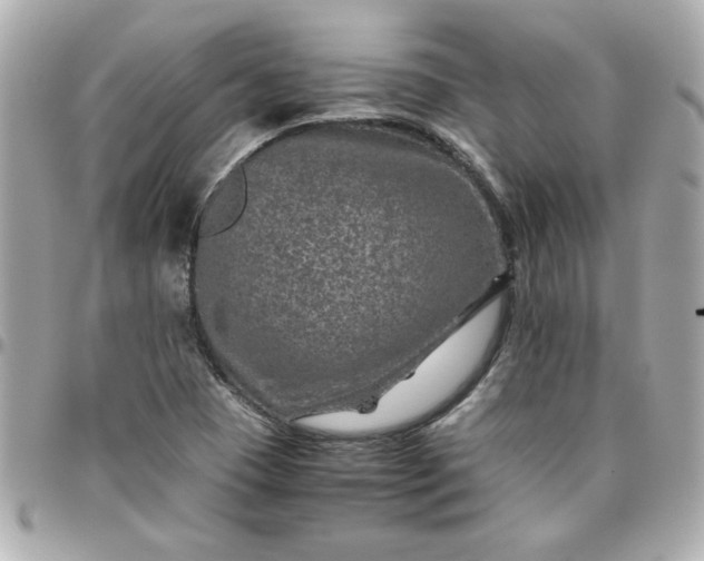 X0000096481409200802071909