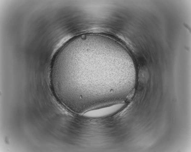 X0000096481410200802071909