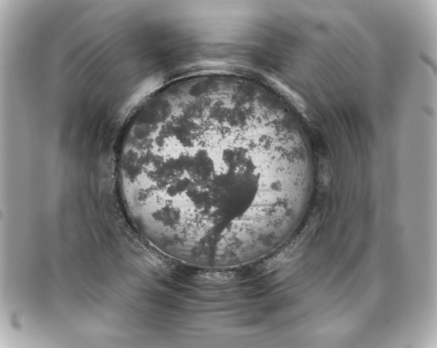 X0000096481411200802071909