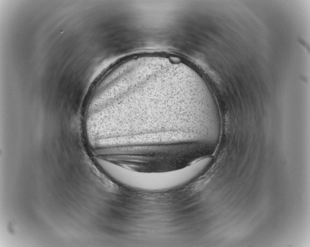 X0000096481412200802071909