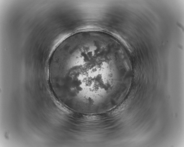 X0000096481413200802071909