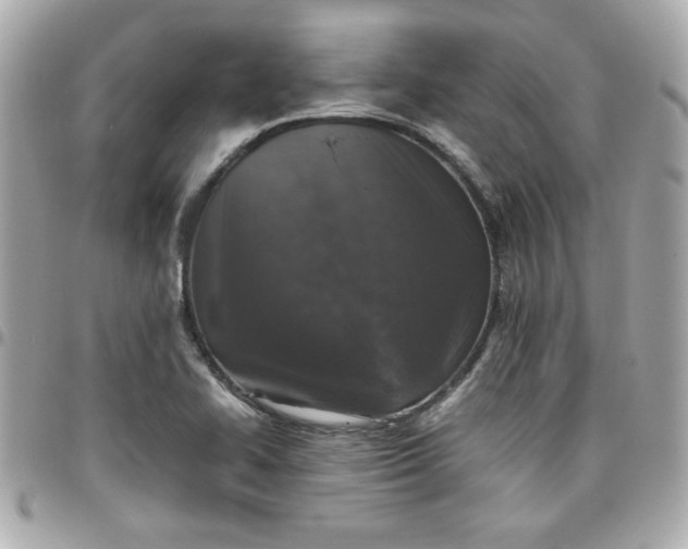 X0000096481414200802071909