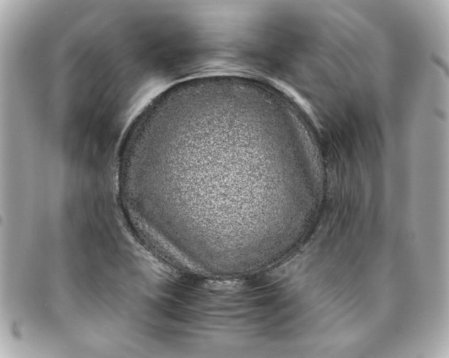 X0000096481415200802071909