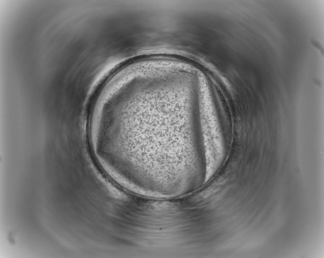 X0000096481416200802071909