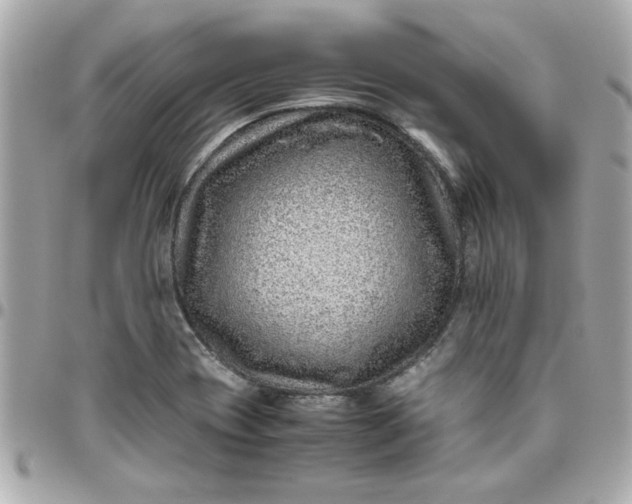 X0000096481417200802071909