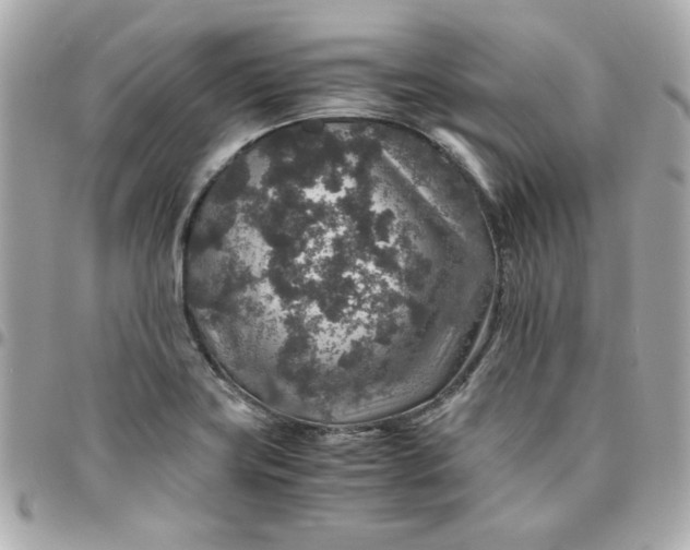 X0000096481419200802071909