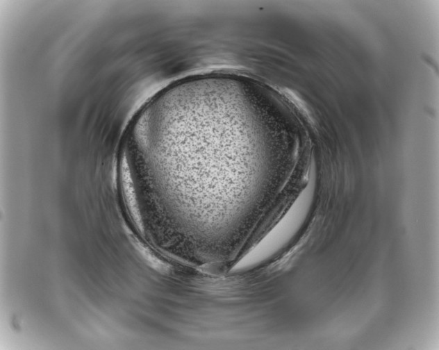 X0000096481420200802071909