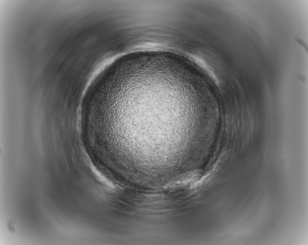 X0000096481421200802071909