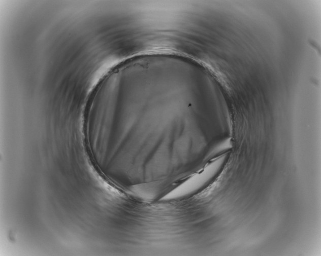 X0000096481422200802071909