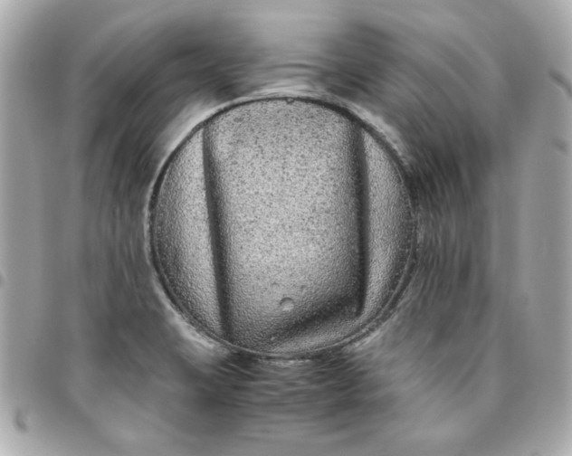 X0000096481423200802071909