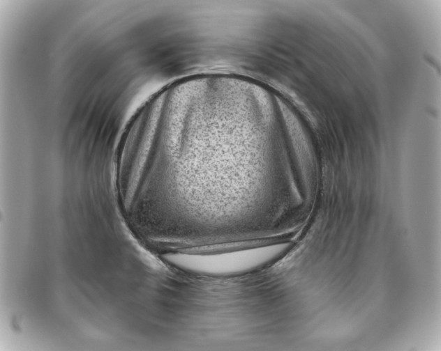 X0000096481424200802071909