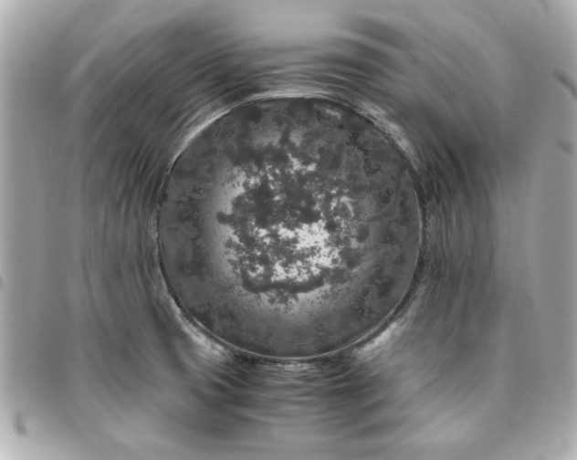 X0000096481425200802071909