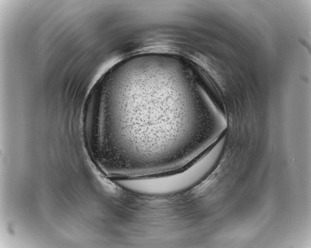 X0000096481426200802071909