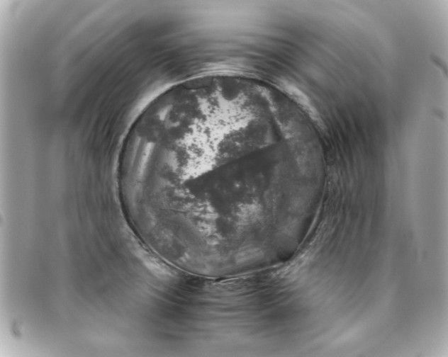 X0000096481427200802071909