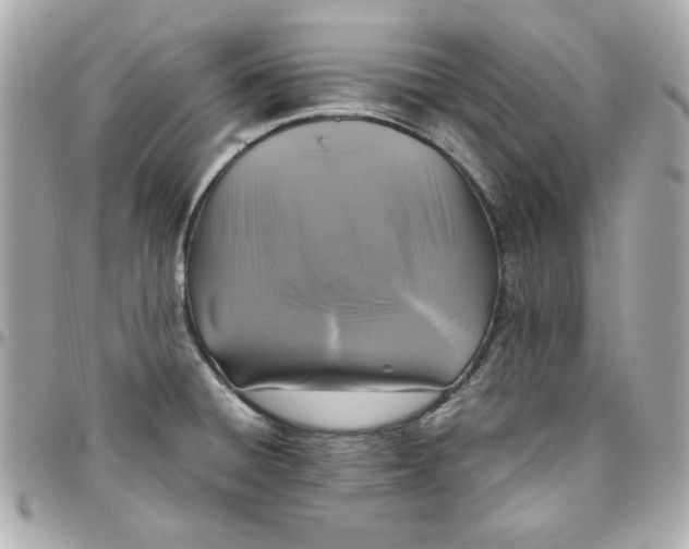 X0000096481428200802071909