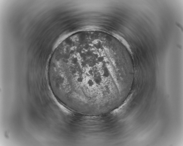 X0000096481429200802071909