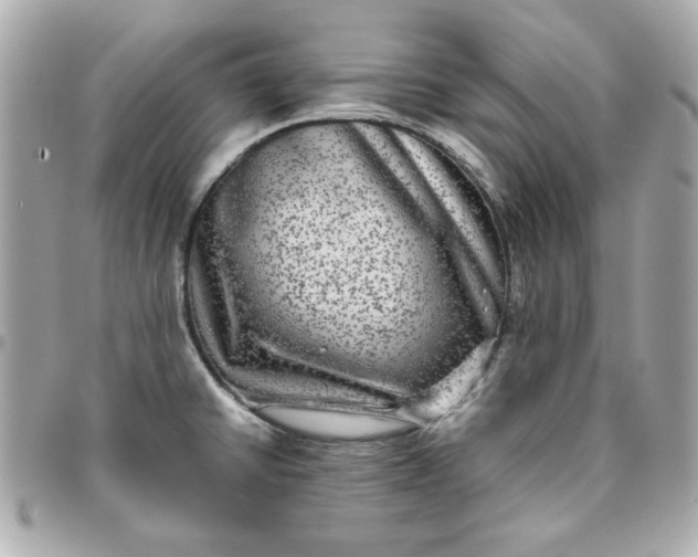 X0000096481430200802071909