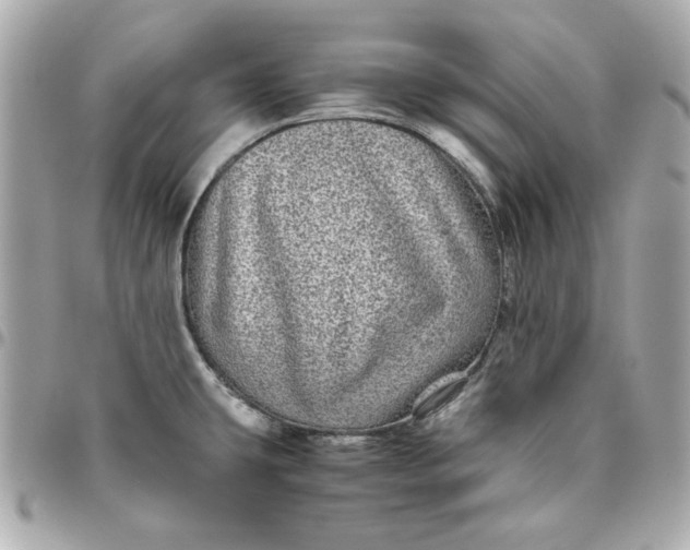 X0000096481431200802071909