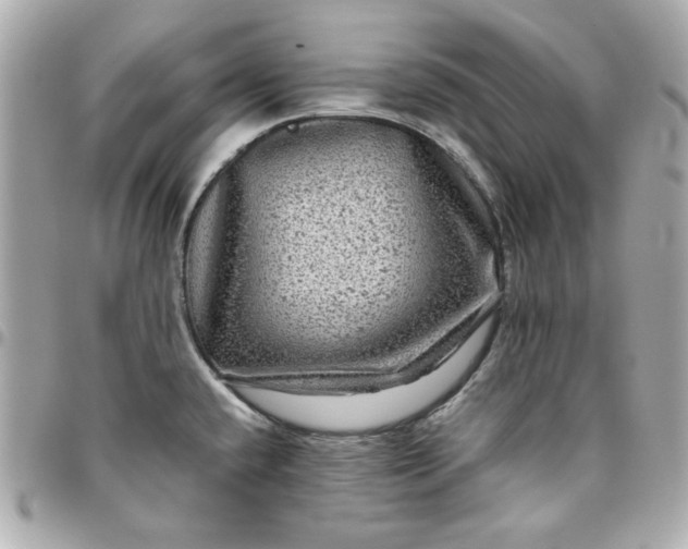 X0000096481432200802071909