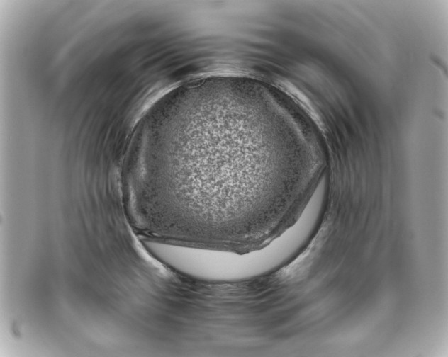 X0000096481433200802071909