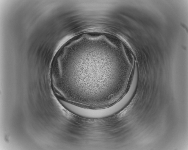 X0000096481434200802071909