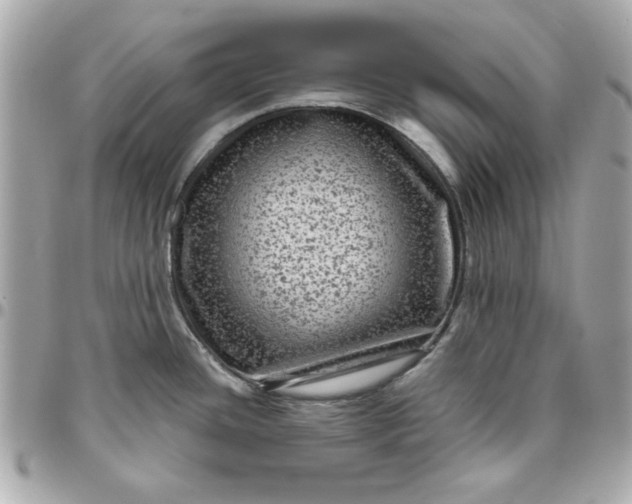 X0000096481436200802071909