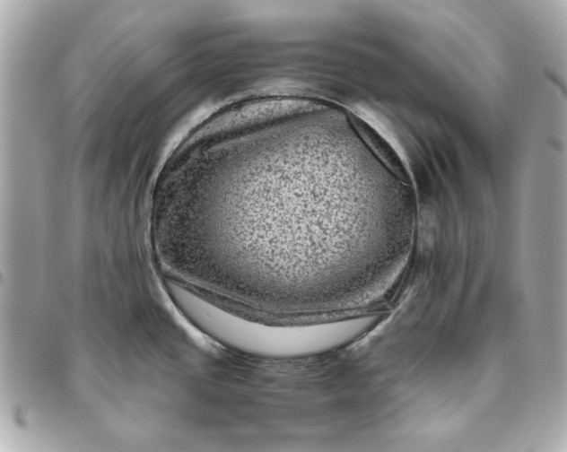 X0000096481437200802071909