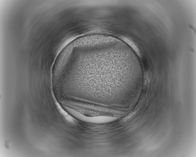 X0000096481439200802071909