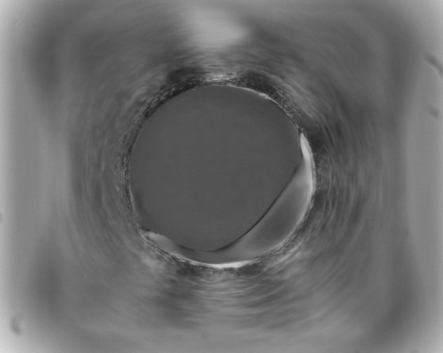 X0000096481441200802071908