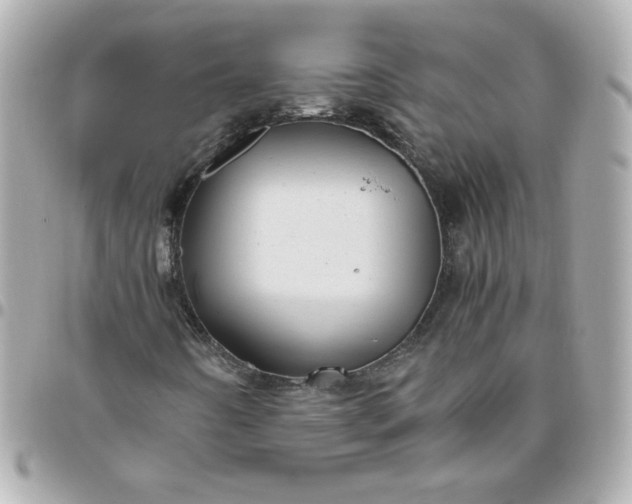 X0000096481442200802071908