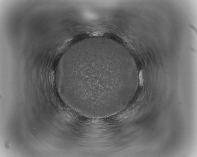 X0000096481443200802071908