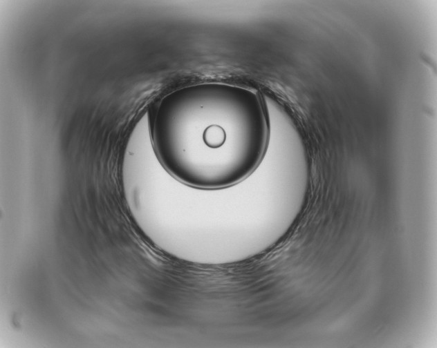 X0000096481444200802071908