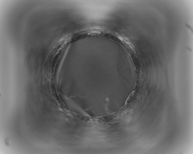 X0000096481445200802071908