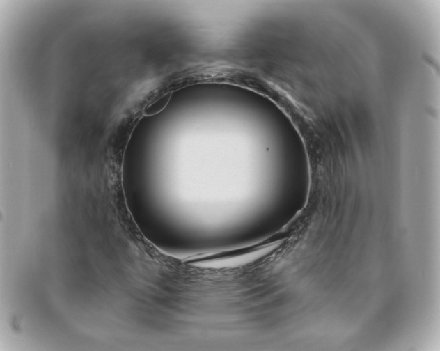 X0000096481447200802071908