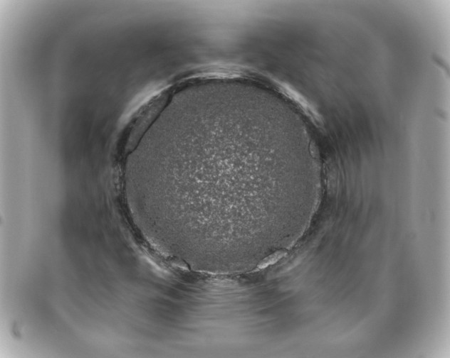 X0000096481448200802071908