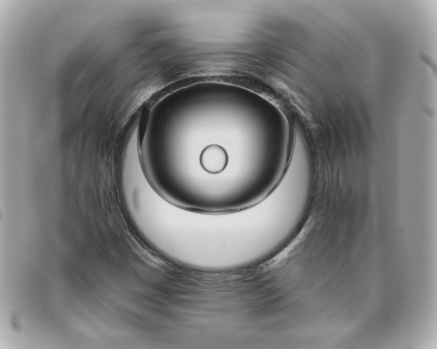 X0000096481449200802071908