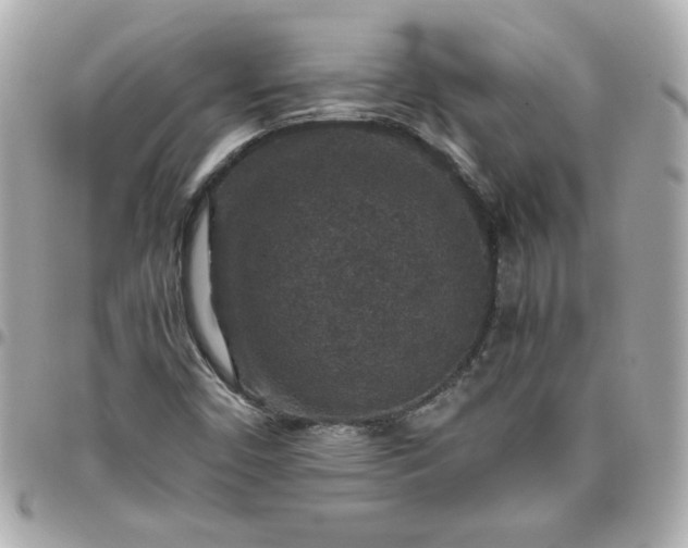 X0000096481450200802071908