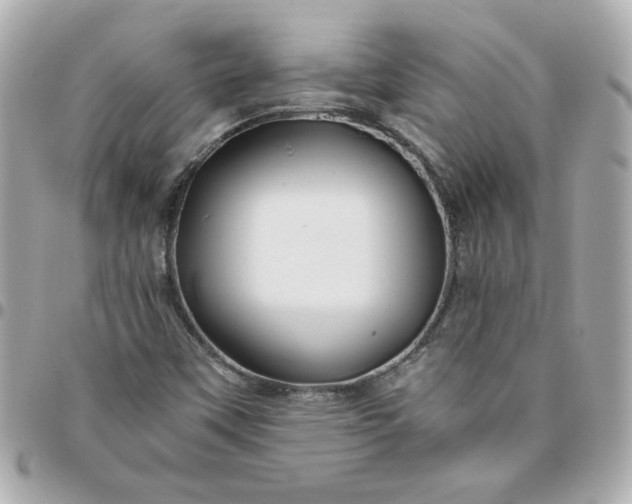 X0000096481451200802071908