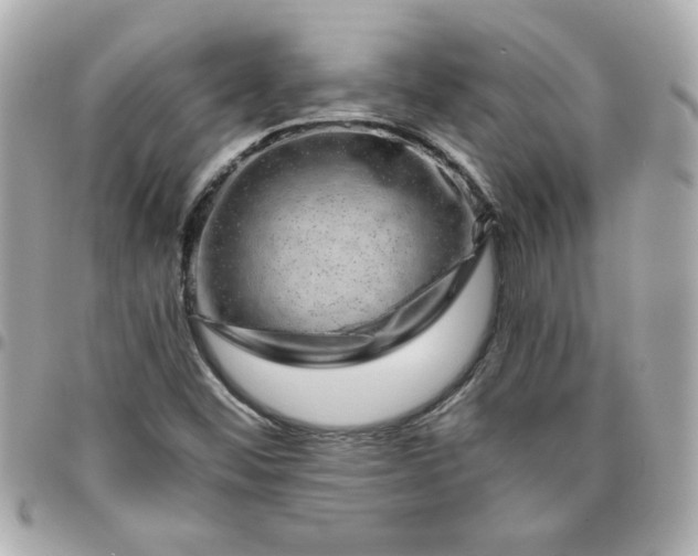 X0000096481452200802071908