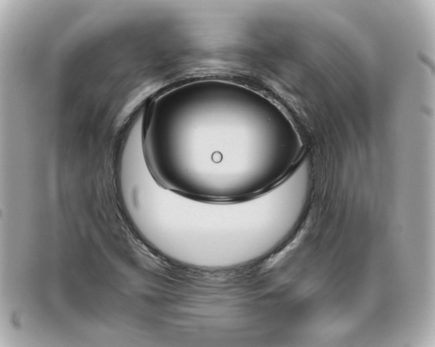 X0000096481453200802071908