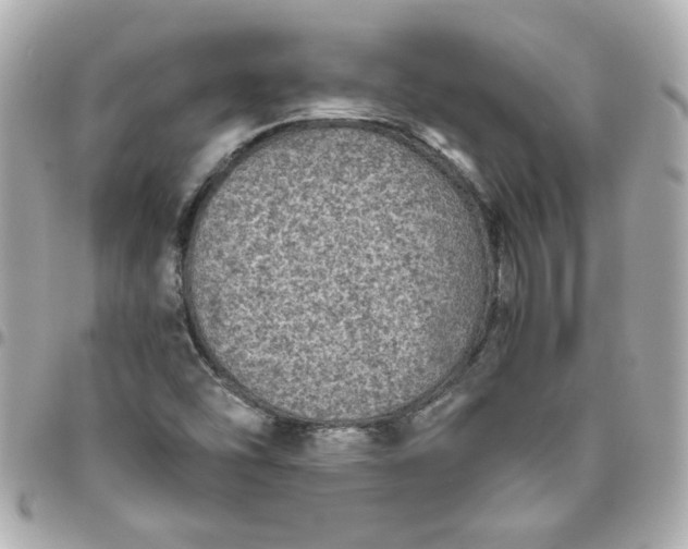 X0000096481454200802071908