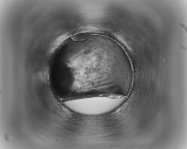 X0000096481455200802071908