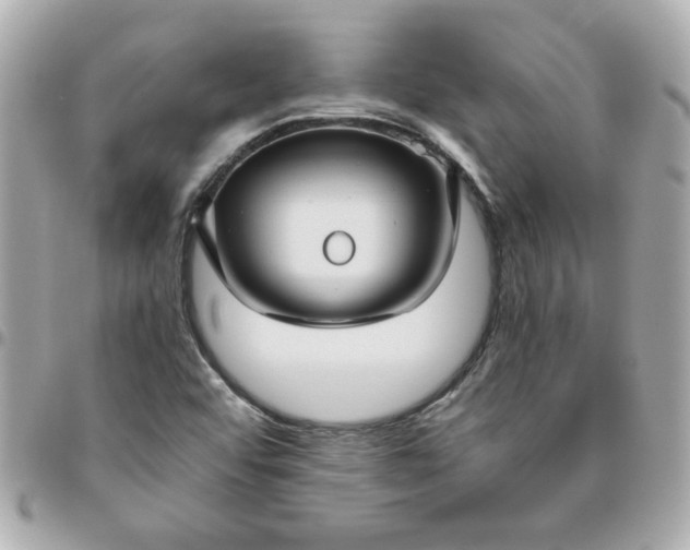 X0000096481456200802071908