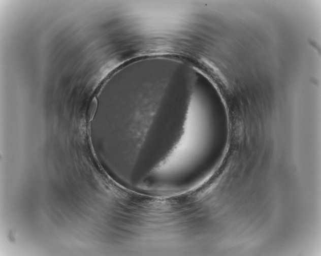 X0000096481457200802071908