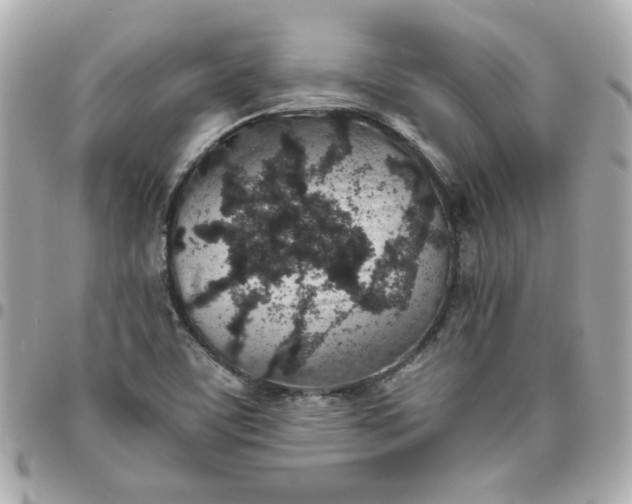 X0000096481459200802071908