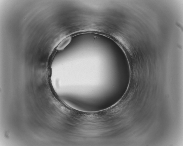 X0000096481460200802071908