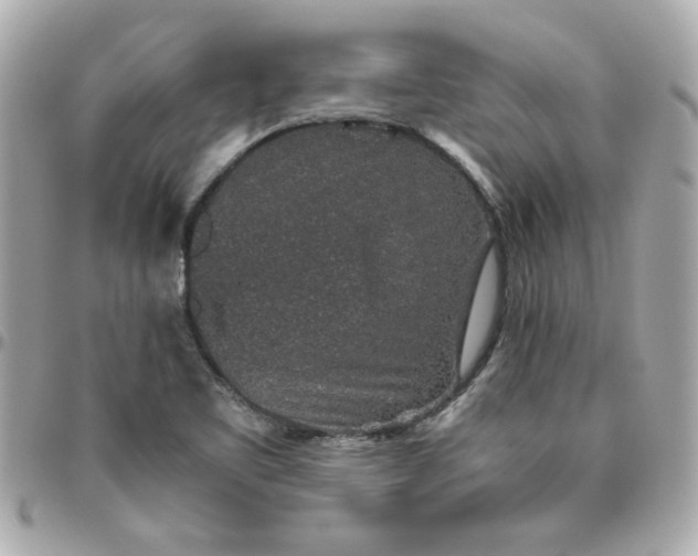 X0000096481461200802071908